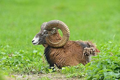 英雄联盟S13比赛日期公布 将在韩国举办